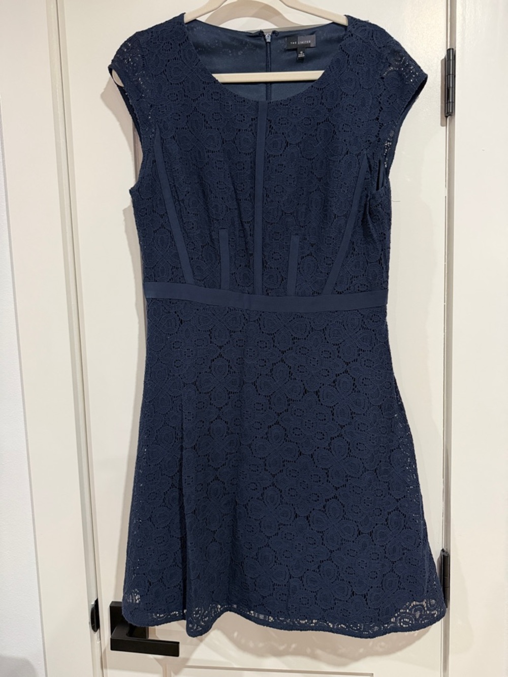 The Limited Navy Lace Fit-and-Flare Mini Dress
